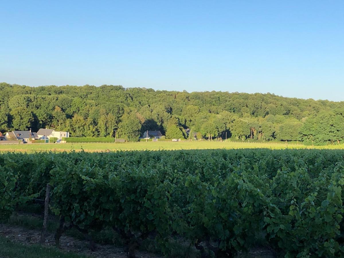 Gite De La Fontaine Bondree Vernou-sur-Brenne 외부 사진